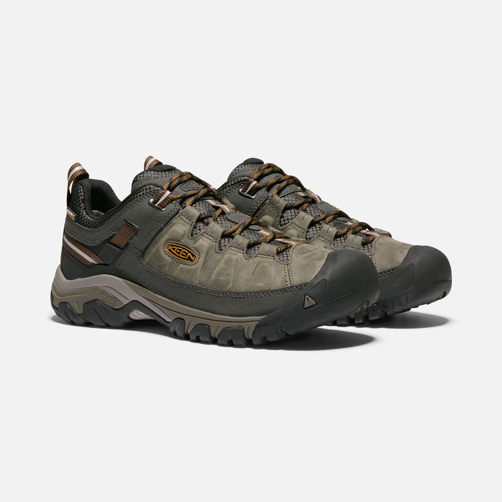 Keen Wandelschoenen Heren Olijfgroen/Zwart - Targhee Iii Waterproof - 25904-HGXR